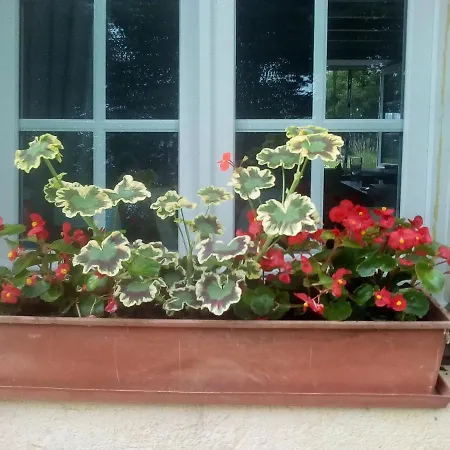 La Marquetterie Bed & Breakfast